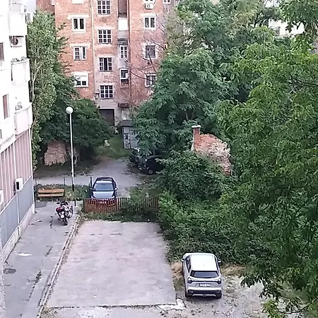 Tomislav *